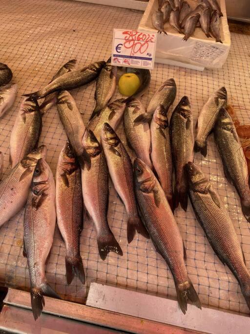 Casa Del Pescatore Di Ortigia Syrakuzy Zewnętrze zdjęcie